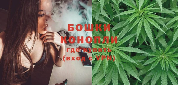 стаф Баксан