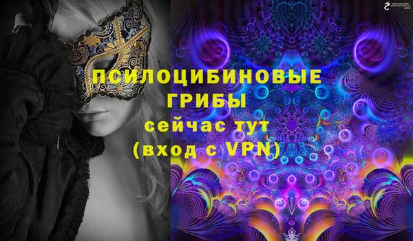 эйфоретик Балахна