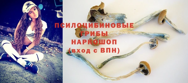 эйфоретик Балахна