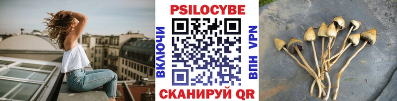 mega вход продажа наркотиков Ясный даркнет состав Псилоцибиновые грибы мухоморы